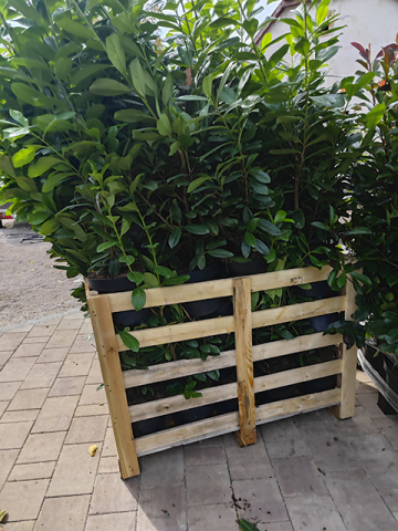 https://webplant.hu/files/menus/305/tn_20241009065553_img_20240926_111801.jpg