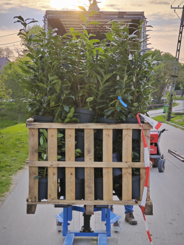 https://webplant.hu/files/menus/305/tn_20241009065610_img_20240411_070524.jpg