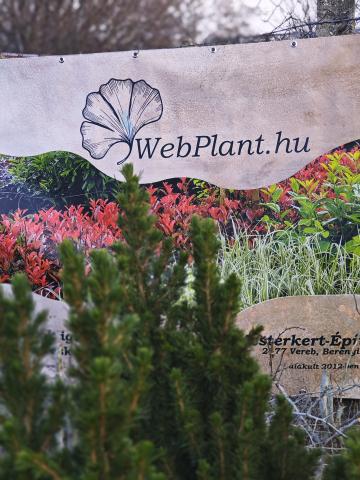 https://webplant.hu/files/menus/305/tn_20250307121633_img_20250224_164242.jpg